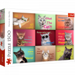 Dėlionė Trefl Funny Cats 26212T, 58 cm x 85 cm, 1500 vnt., įvairių spalvų