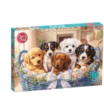 Dėlionė CherryPazzi Sweet Five, 34.5 cm x 50 cm, 300 vnt., įvairių spalvų