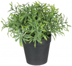 Dirbtinis augalas vazone, vaistažolės Splendid Herbs 1, žalia sp., 20 cm x 15 cm