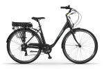 Elektrinis dviratis Ecobike Basic Greenway, 19", 28", 250 W, 11.6 Ah, juoda sp.
