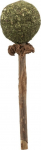 Žaislas katėms su katžole Trixie Lolly 42430, rudas/žalias, 11 cm