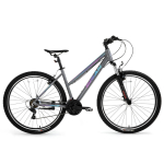 Dviratis kalnų Bisan ATHENA V, 29 ", 19" rėmas, mėlyna sp./pilka sp./violetinė sp.