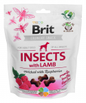 Skanėstas &scaron;unims Brit Care Crunchy Cracker Insects with Lamb, ėriena, 0.2 kg