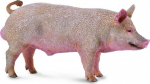 Žaislinė figūrėlė Collecta Boar 88864, įvairių spalvų