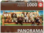 Dėlionė Educa Puppies On The Bench Panorama 90382, 96 cm x 24 cm, 1000 vnt., įvairių spalvų
