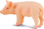 Žaislinė figūrėlė Collecta Piglet 449023, 4 cm, rožinė sp.
