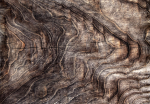 Fototapetas Artgeist Signs Of The Times - An Abstract Background With The Wrinkled Bark Of An Old Tree, 70 cm x 100 cm
