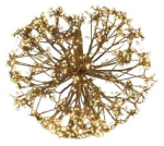 Dekoracija "Kamuolys" Finnlumor su LED ap&scaron;vietimu, 50 cm, 50 cm, juoda sp.