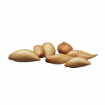 Svogūnų BIRNFORMIGE sodinukai, 8&ndash;21 mm, 0,4 kg