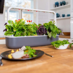 I&scaron;manioji daigykla Click & Grow SG-9D, pilka sp.