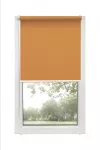 Ritininė užuolaida Mini D-24 D-24, lazdyno rie&scaron;uto sp., 81 cm x 150 cm