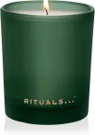 Žvakė, aromatinė Rituals The ritual of jing, 50 h, 290 g, žalia sp.