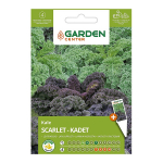 Sėklos Garden Center, kopūstai Scarlet-Kadet, 2 g