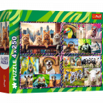 Dėlionė 4in1 Trefl Funny Animals 13313, 18 cm x 27.5 cm, 1000 vnt., įvairių spalvų