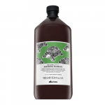 &Scaron;ampūnas Davines Naturaltech Renewing, 1000 ml