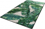 Kiliminis takas Conceptum Hypnose 882CHL1678, kreminė/žalia, 200 cm x 80 cm