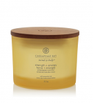 Žvakė, aromatinė Chesapeake Bay Mind & Body Strength + Energy, 28 h, 0.312 g, Geltona sp.