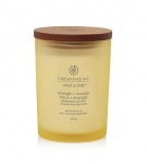 Žvakė, aromatinė Chesapeake Bay Mind & Body Strength + Energy, 57 h, 0.250 g, Geltona
