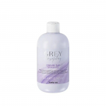 &Scaron;ampūnas Inebrya Grey By Day, 300 ml