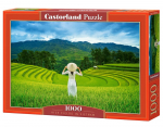 Dėlionė Castorland Rice Fileds In Vietnam 105052, 47 cm x 68 cm, 1000 vnt., įvairių spalvų