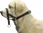 Petne&scaron;os &scaron;unims Beeztees, juoda sp., 440 mm, XL