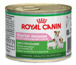 &Scaron;lapias &scaron;unų maistas Royal Canin Starter, vi&scaron;tiena, 0.195 kg