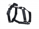 Petne&scaron;os &scaron;unims Amiplay Samba, juoda sp., 260 - 350 mm x 15 mm, 26-35