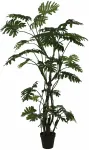 Dirbtinis augalas vazone, filodendras, žalia sp., 210 cm