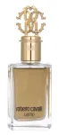 Tualetinis vanduo Roberto Cavalli Uomo Vapor, 100 ml
