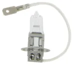 Automobilio lemputė Bottari, halogeninė, 12 V