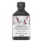 &Scaron;ampūnas Davines NaturalTech Replumping, 250 ml