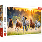 Dėlionė Trefl Wild Horses, 58 cm x 85 cm, 1500 vnt., įvairių spalvų