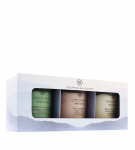 Žvakių rinkinys, aromatinė Chesapeake Bay Gift Set, 288 g, 3 vnt., Įvairių spalvų