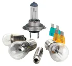 Automobilio lemputė Bottari, halogeninė, 12 V