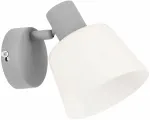 &Scaron;viestuvas sieninis Candellux Lighting Ginko 91-49124, E14, 1 x 40 W, skaidri sp. / pilka sp.