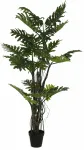 Dirbtinis augalas vazone, filodendras Brasil, žalia sp., 210 cm