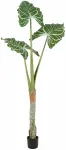 Dirbtinis augalas vazone, žalia sp./rusva sp., 180 cm
