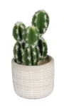Dirbtinis augalas vazone, kaktusas Splendid Cactus, &scaron;viesiai ruda sp./žalia sp., 14 cm