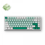 Belaidė žaidimų klaviatūra Mchose G75 Pro Wireless G75-9A Matcha Latte v2, Anglų (US), balta sp./žalia sp.