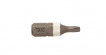 Sukimo antgalis Essve, TX10