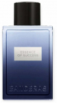 Tualetinis vanduo Antonio Banderas Essence of Success, 100 ml