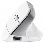 Belaidė kompiuterinė pelė Trust BAYO+ 25399, bluetooth / usb / 2.4ghz, balta sp.