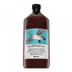 Plaukų kondicionierius Davines Natural Tech Well-Being, 1000 ml