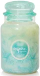 Žvakė, aromatinė Yankee Candle Inspire, 110 - 150 h, 623 g, įvairių spalvų
