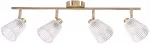 &Scaron;viestuvas lubų Candellux Lighting Baron 94-54975, G9, 4 x 40 W, skaidri sp. / aukso sp.