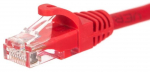 Laidas Netrack CAT 6 UTP Patch BZPAT56R RJ-45 8P8C, RJ-45 8P8C, 5 m, raudona sp.