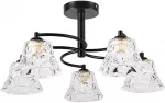 &Scaron;viestuvas lubų Candellux Lighting Sudan 35-56160, E27, 5 x 40 W, skaidri sp. / juoda sp.
