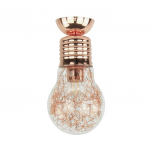 &Scaron;viestuvas lubų Britop Bulb 2820113, E27, 1 x 60 W, skaidri sp.