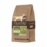 Quattro Grain Free sausas pa&scaron;aras su antiena didelių veislių jauniems &scaron;unims, 12 kg
