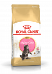 Royal Canin Maine Coon Kitten sausas pa&scaron;aras kačiukams, 2 kg